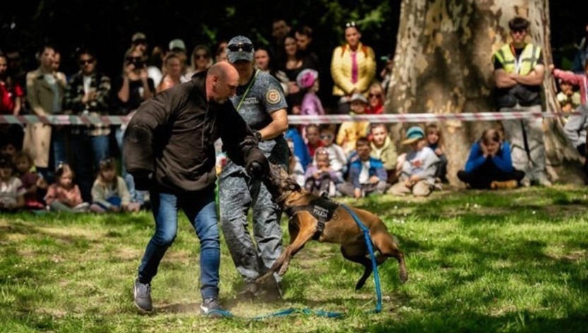 Ukážky činnosti kynológov Mestskej polície
