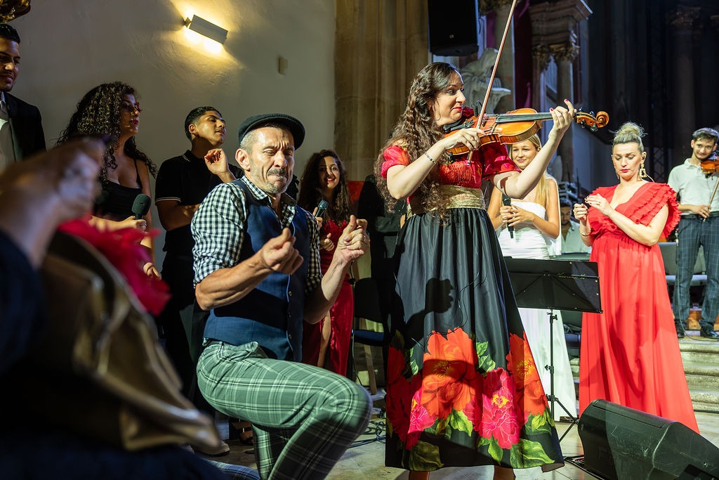 Divé maky, koncert